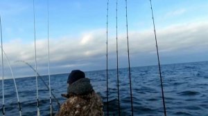 Морской троллинг. Лососевый марафон.