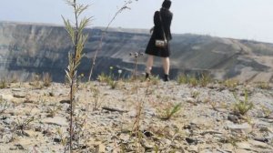 Белая ночь опустилась как облако