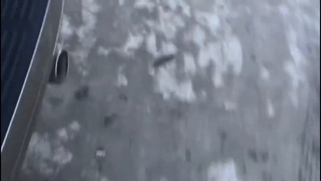 3D коврики Bark для автомобиля Lexus GX470/Prado 120 смотреть онлайн