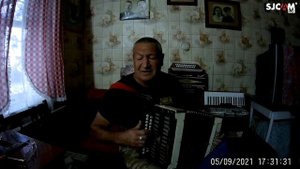 Упала птица в камыши