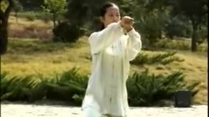 Tai Chi 42 Forms Part 4 - Teach