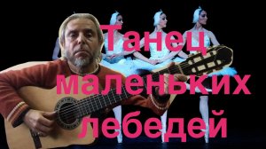 Танец маленьких лебедей-guitar Cover