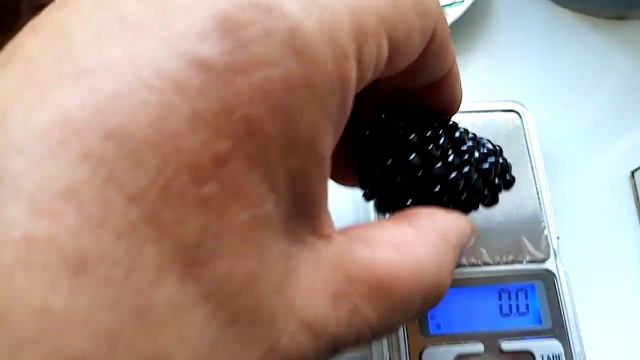 ежевика сорт блек джем, созрели крупные ягоды на побегах текущего года. смотреть онлайн