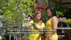 "Ромашкино Парк" - садовый центр в Подмосковье и интернет-магазин саженцев