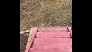 Ароматы ванили или как бороться с запахами навоза