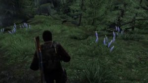 The Last of Us™ Remastered El Diablo Location