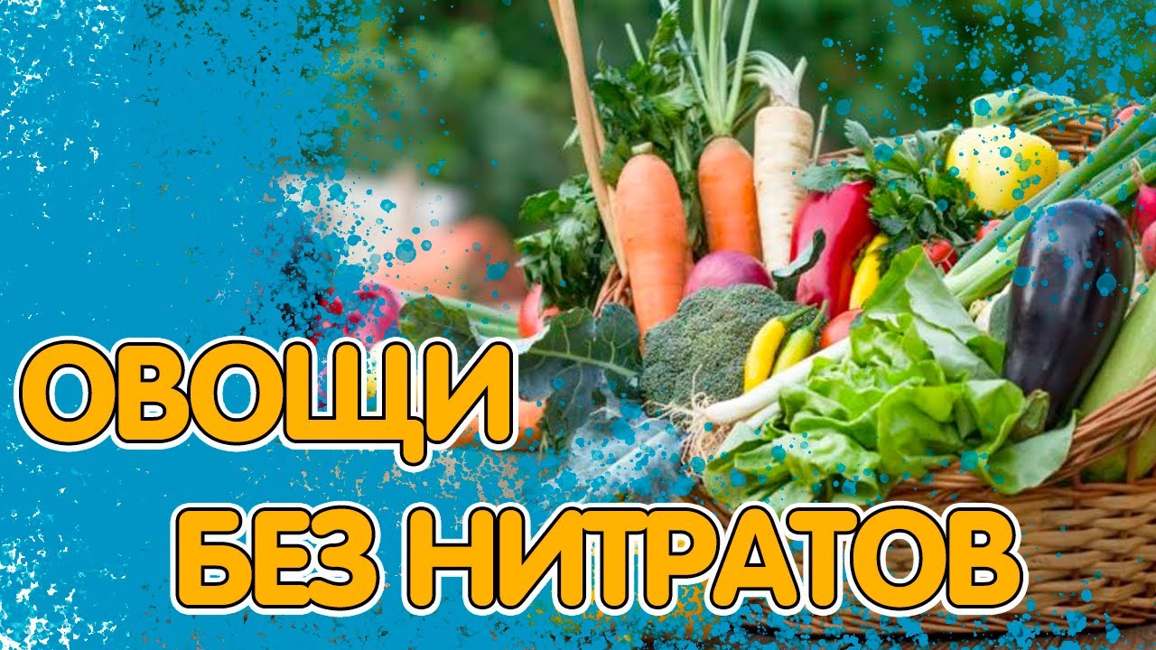 ВЫРАЩИВАЕМ НАТУРАЛЬНЫЕ, ВКУСНЫЕ И ПОЛЕЗНЫЕ ОВОЩИ БЕЗ НИТРАТОВ. КАК ПОЛУЧИТЬ ЧИСТЫЙ УРОЖАЙ смотреть онлайн