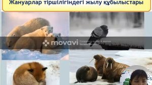 8сынып Физика. Тірі ағзалардың өмірлеріндегі жылу құбылыстардың рөлі. Жапбарова Г. П