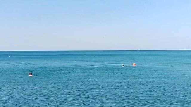 Дивноморск 27.09.23 встреча. дельфинами??? смотреть онлайн