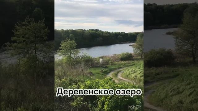 В поход. Ищу дом для жизни за 200 000 рублей в Воронежской области. смотреть онлайн