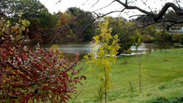 Damn 'Em!.wmv смотреть онлайн