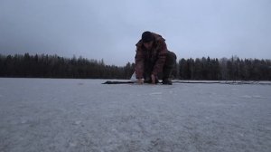?ПЕРВЫЙ ЛЁД 2020-2021/Крупные щуки на самоловки/Жерлицы/Зимняя рыбалка