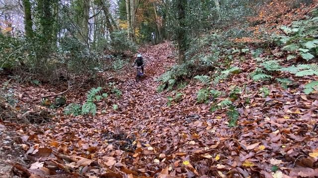 THE DOWNHILL RAKE BIKE + A BIG OLD NOSE DIVE смотреть онлайн