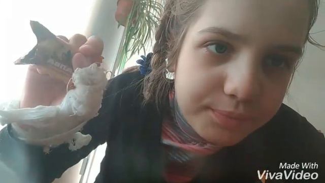 Влог в школе с Дымком кроликом брелком смотреть онлайн