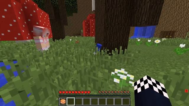 ?ПРЯТКИ НО У КАЖДОГО СВОЙ БИОМ В МАЙНКРАФТ! ШЕДИ ЛЕСКА И НУБИК ЧЕЛЛЕНДЖ MINECRAFT смотреть онлайн