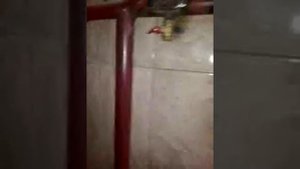 Котел Циклон ТТ ( Энергия ТТ) котельная