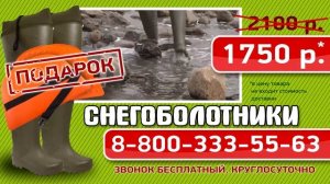 телемагазин снегоболотники