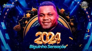 🟥 BIGUINHO SENSAÇÃO 2024 - REPERTÓRIO NOVO - ATUALIZADO - MÚSICAS NOVAS - BIGUINHO SENSAÇÃO