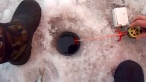 "Техника ловли леща на мормышку зимой: правильная""