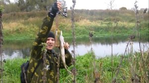 Щука на кривого. Ловля щуки на воблер / Pike-fishing with bent wobbler. 05.10.2014