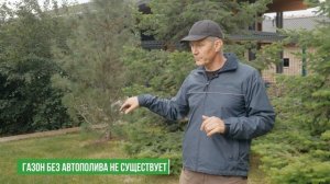 РУЛОННЫЙ или ПОСЕВНОЙ ГАЗОН? Какой Газон Выбрать?