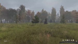 DayZ RP STALKER - НА СВОБОДУ?