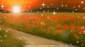 "ОЙ,ВЫ ГУСИ,МОИ ЛЕБЕДИ".     РАДА РАЙ..