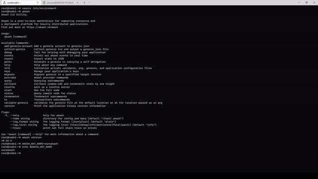 Build A Cloud Provider on Akash network Part 3 - Akash CLI смотреть онлайн