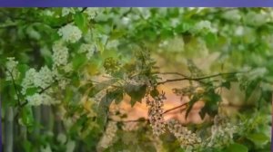 Запоздалая любовь