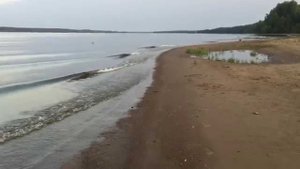 На берегу Волги, август 2015 года