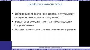 ВСД Машин В.В.