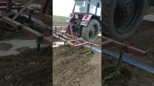 Опрыскивание лука и дыни, + культивация 2ч !