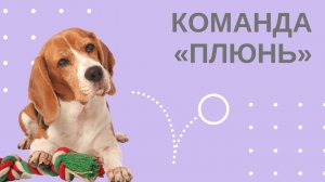 Учим команду "Плюнь"