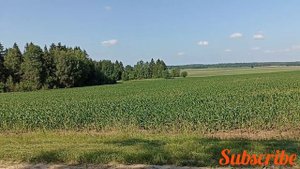 Собрал и догрузил металлолом Отвёз на приёмку