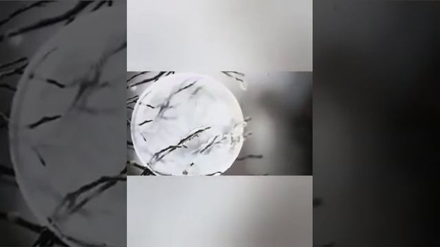 СОВА ТАЛИСМАН ДЛЯ БЛИЗНЕЦОВ 2022.ԲՈՒ թալիսման երկվորյակների համար 2022• смотреть онлайн