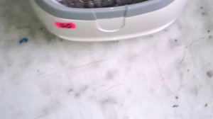 чистка велосипедной цепи в ультразвуковой ванне