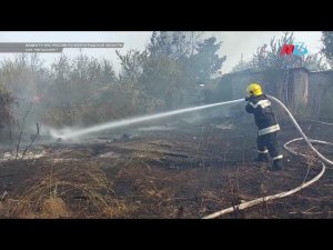 Сюжет телеканала МТВ об обстановке с пожарами на территории Волгоградской области/17.08.21