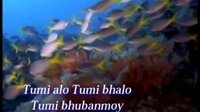 Учим песни Шри Чинмоя - Tumi Alo Tumi Bhalo (music by Sri Chinmoy)