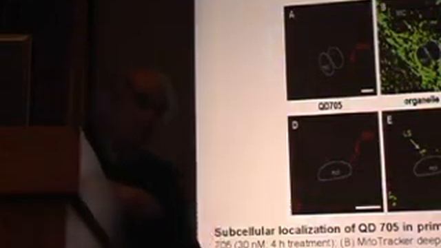 Кроленко С.А. Квантовые точки (quantum dots) в цитологии