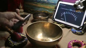 161 LINGAM  22CM F183 D155 D554