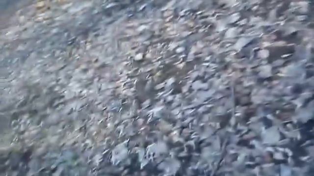 Подснежники и дохлый голубь Часть 3 смотреть онлайн