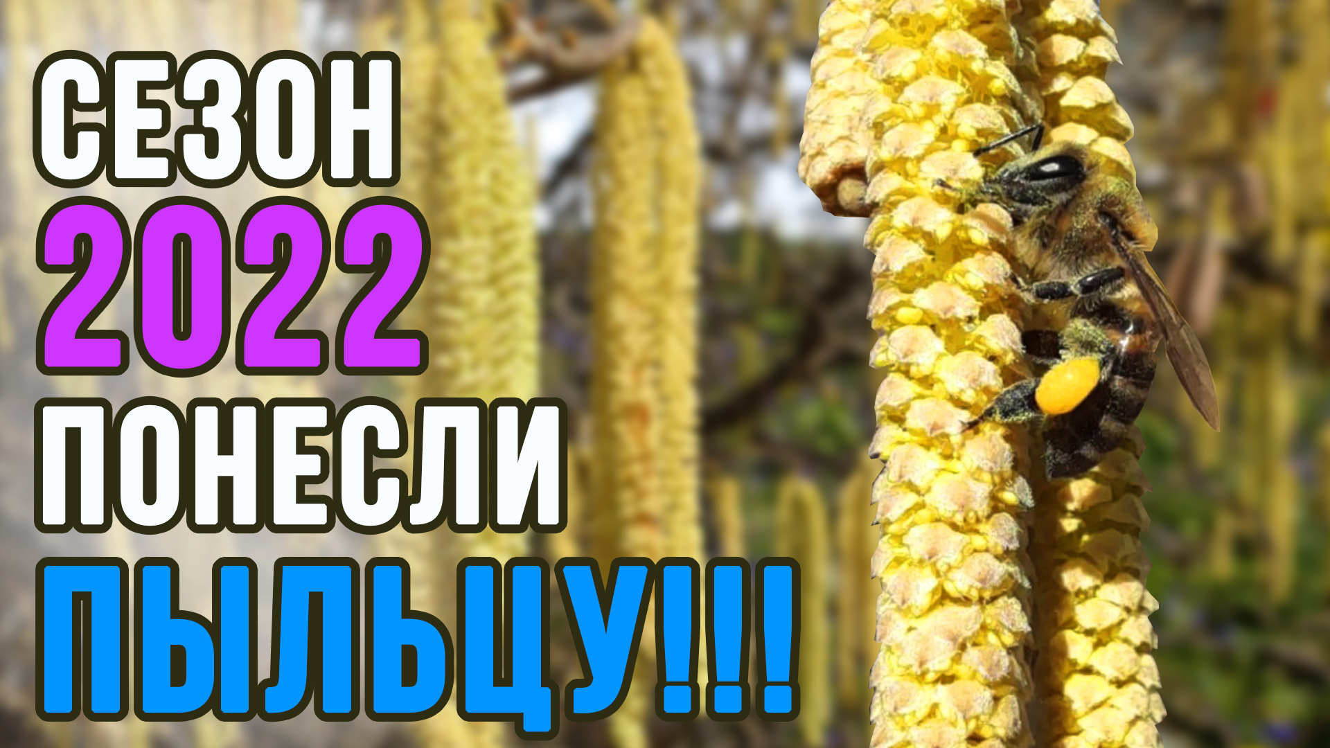 ФЕВРАЛЬ 2022 ДАЁМ ИСКУСТВЕННУЮ ПЫЛЬЦУ!!!