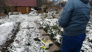 Как приготовить молодую земляничную грядку к зимовке