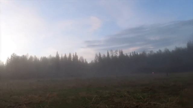 ОХОТА НА ВАЛЬДШНЕПА. ВОТ ЭТО РЕЗУЛЬТАТ. Добрые походы смотреть онлайн