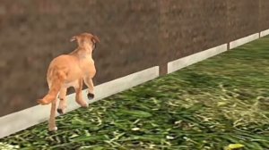 Не играй в Dog Sim в 3:00 часа ночи...