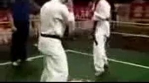 Каратэ Киокушинкай против Тхэквондо