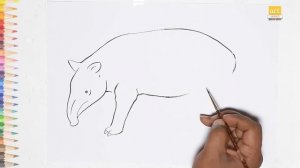 Tapir outline drawing / How to draw A Tapir drawing step by step / #artjanag