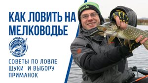 Как ловить щуку на мелководье: крэнки, джеркбейты, колебалки, свимбейты