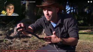 ЗМЕЯ УКУСИЛА В ЛИЦО / Койот Питерсон на русском реакция