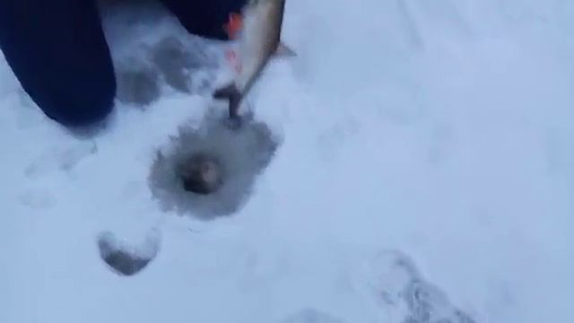 Зимняя рыбалка в Новоселках!